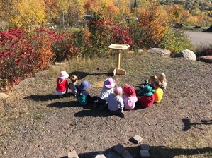 Young observers at Hawk Ridge platform feeder - Oct 2019 - thanks Myron Peterson for building feeders