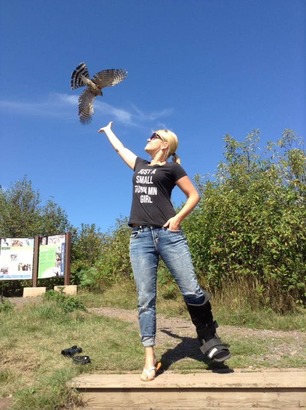 Banded bird release at Hawk Ridge by J Richardson