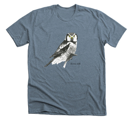 Northern Hawk Owl Project