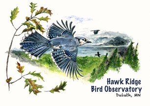 Marie Chappell Hawk Ridge Blue Jay Design 24