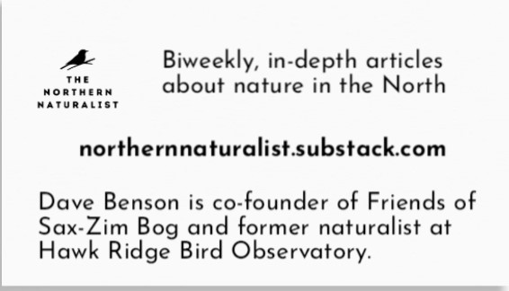 Northern Naturalist