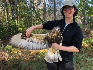 Banding Trainee Emma and Rough-legged Hawk by E Pavlovic