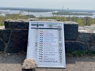 May 23 Count Board by S Nova