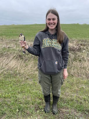 Avian Field Tech Taylor with banded kestrel