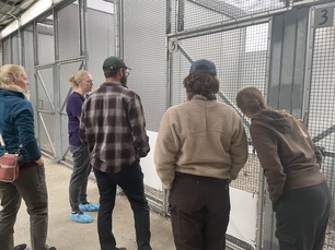 Hawk Ridge Fall Banding Team visits The Raptor Center