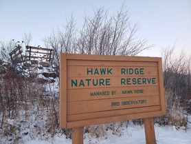 Hawk Ridge Nov 22 by E Bruhnke