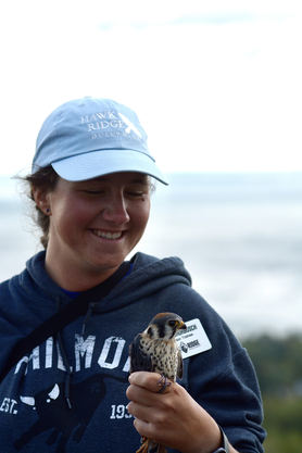 Education Trainee Chris with Kestrel Oct 22