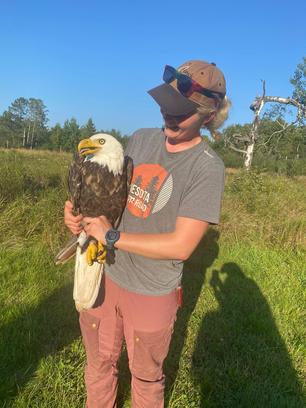 Bald Eagle by S Needles Sept 25 2