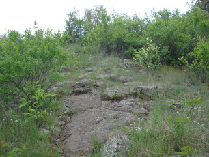 Hawk Ridge Nature Reserve