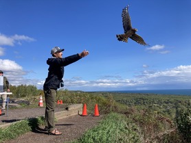 Naturalist Jake with bird release at Hawk Ridge