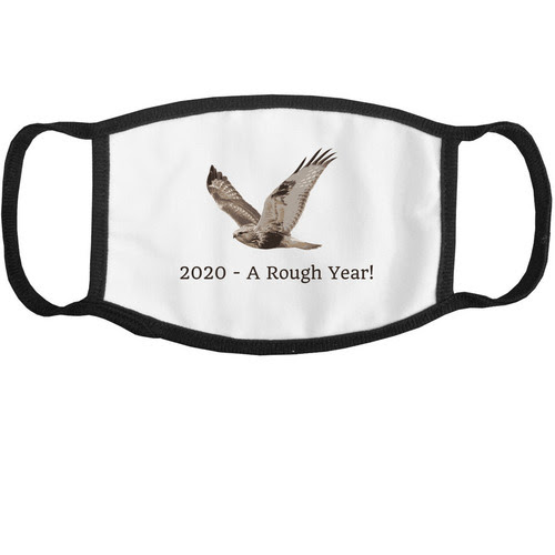 2020 A Rough Year Mask