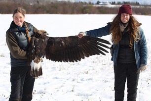 Abbie and Hannah Golden Eagle Oct 2020 by A Witchger 2