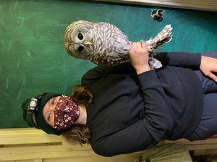 Banding Trainee Halle and Barred Owl Oct 20 3