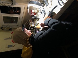 Banding Apprentice Kaia Owl Banding Banding Apprentice Kaia Owl Banding