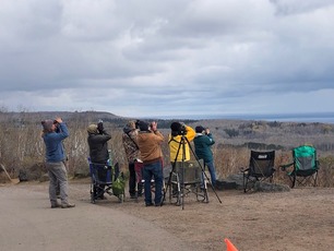Oct 31 Fall Hawkwatching at Hawk Ridge Oct 31 Fall Hawkwatching at Hawk Ridge