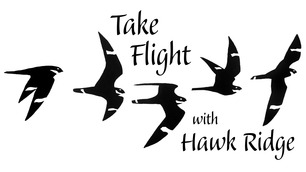 Take Flight Logo Karl Bardon