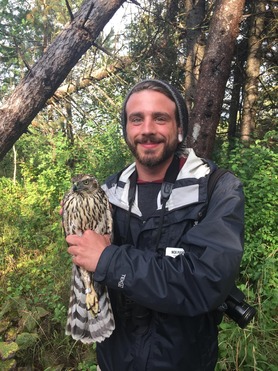 Count Trainee - Nick P with Northern Goshawk