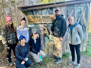 Banding Trainees Allie Bryce Emily with transmitter on Red-tailed Hawk