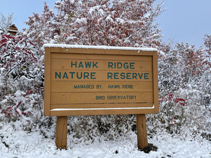 Oct 22 snow at the Ridge