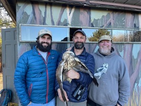 Jesse Watson - Neil Paprocki with Rough-legged Hawk  - Frank Nicoletti 