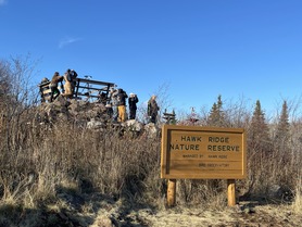 November at the Ridge by S McLaughlin