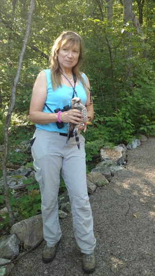 Laurie Goodrich with Broad-winged Hawk