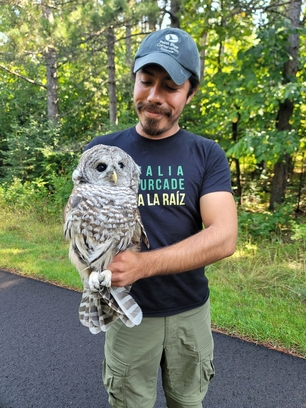 Owl bander Kevin Garcia Lopez with a hatch-year Barred owl caught during the day at Paine Farm. Photo by Doris Rodriguez