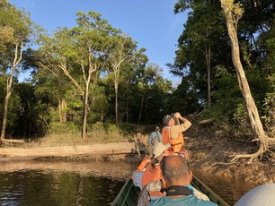 Birding by boat in the Amazon - Nicole Sullivan