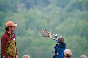 Student releasing bird at Hawk Ridge by L Lee Student releasing bird at Hawk Ridge by L Lee