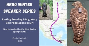 Linking Bird Pop in MN 