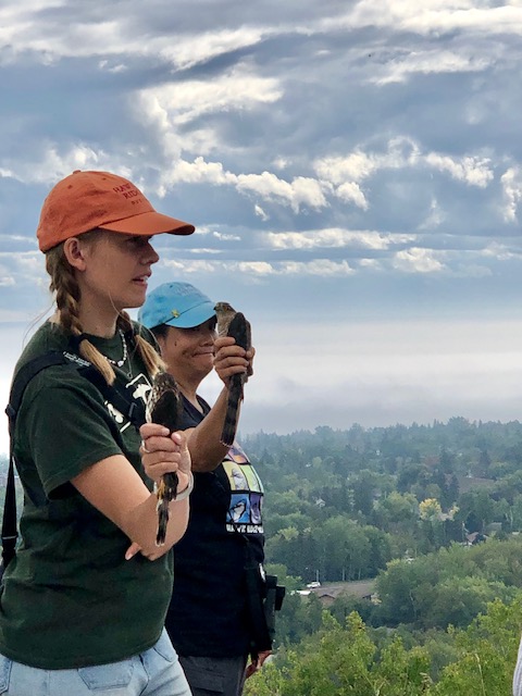 Naturalist Live Bird Demo 25