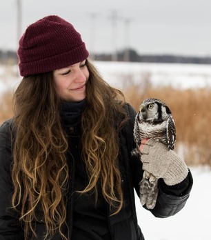 H Toutonghi with Northern Hawk Owl