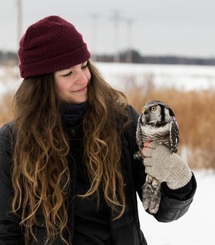 H Toutonghi with Northern Hawk Owl 