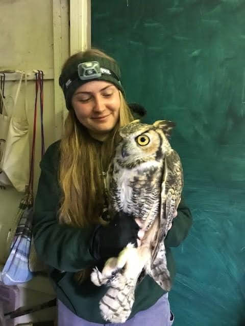 Jessy and Great Horned Owl