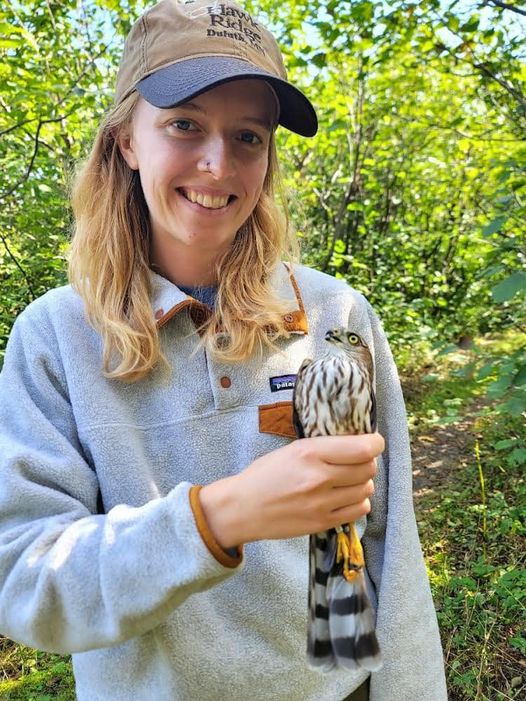 Trainee Sarah Needles with Sharp-shinned Hawk